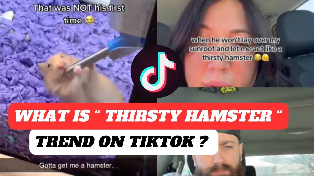 Thirsty Hamster