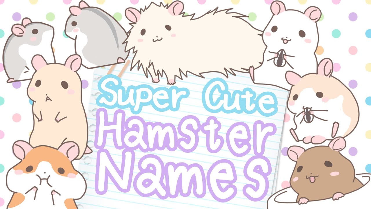 Cute Hamster Names